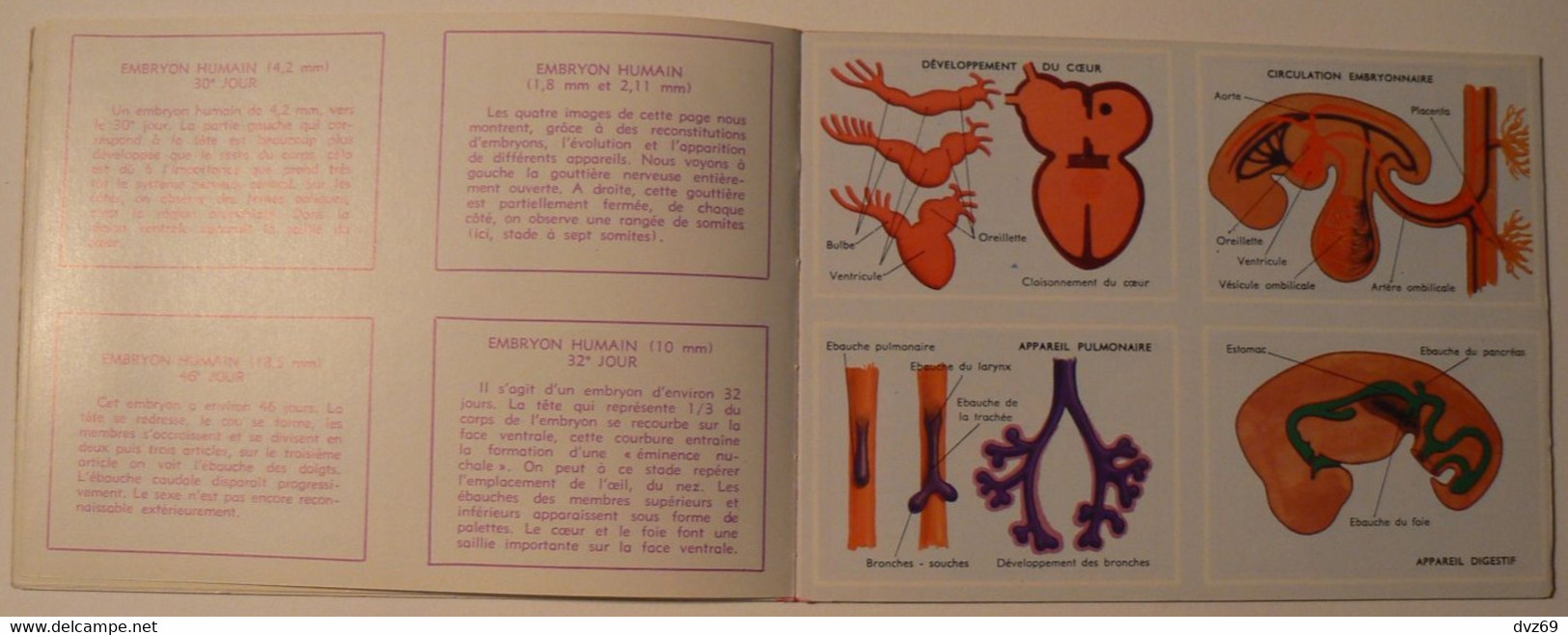 Livret éducatif Volumétrix : n° 52, Etudes d'Anatomie III, parfait état.