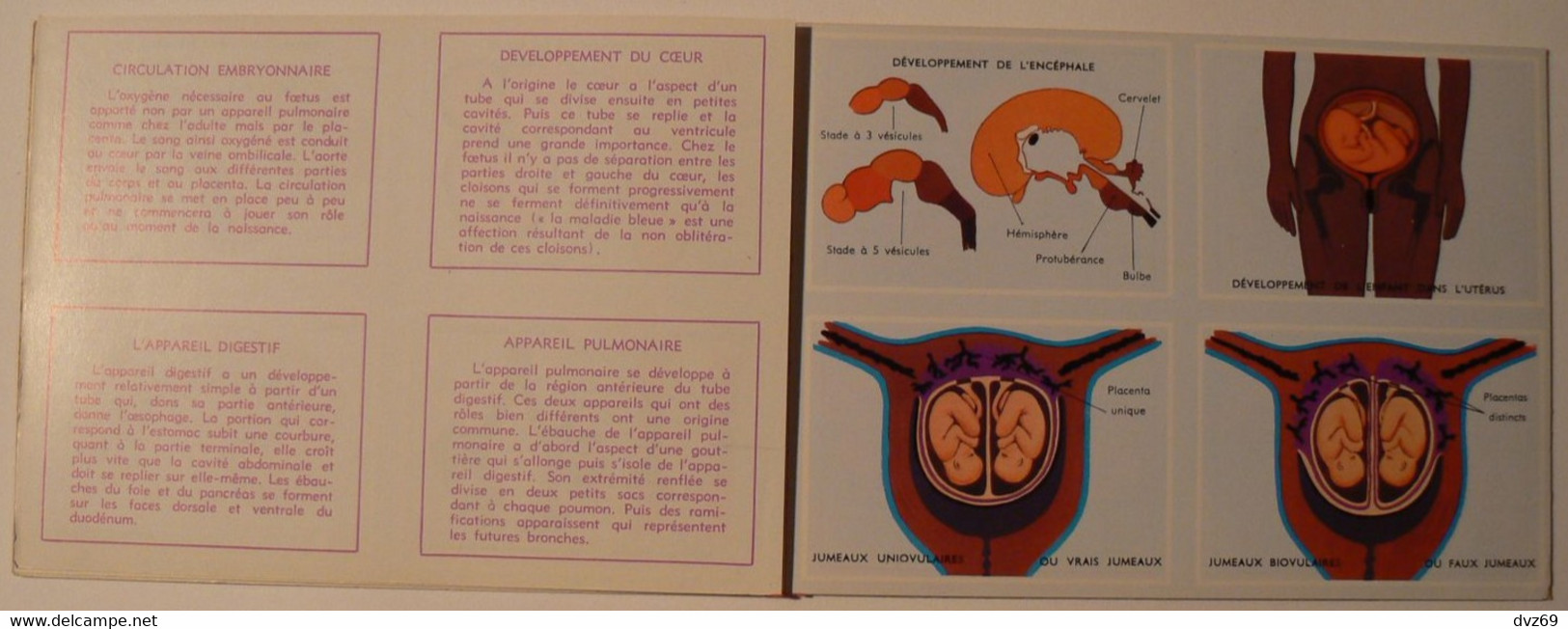 Livret éducatif Volumétrix : n° 52, Etudes d'Anatomie III, parfait état.