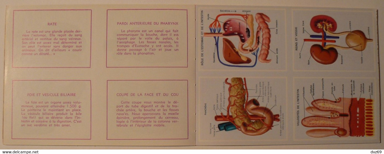 Livret éducatif Volumétrix : n° 36, Etudes d'Anatomie II, parfait état.