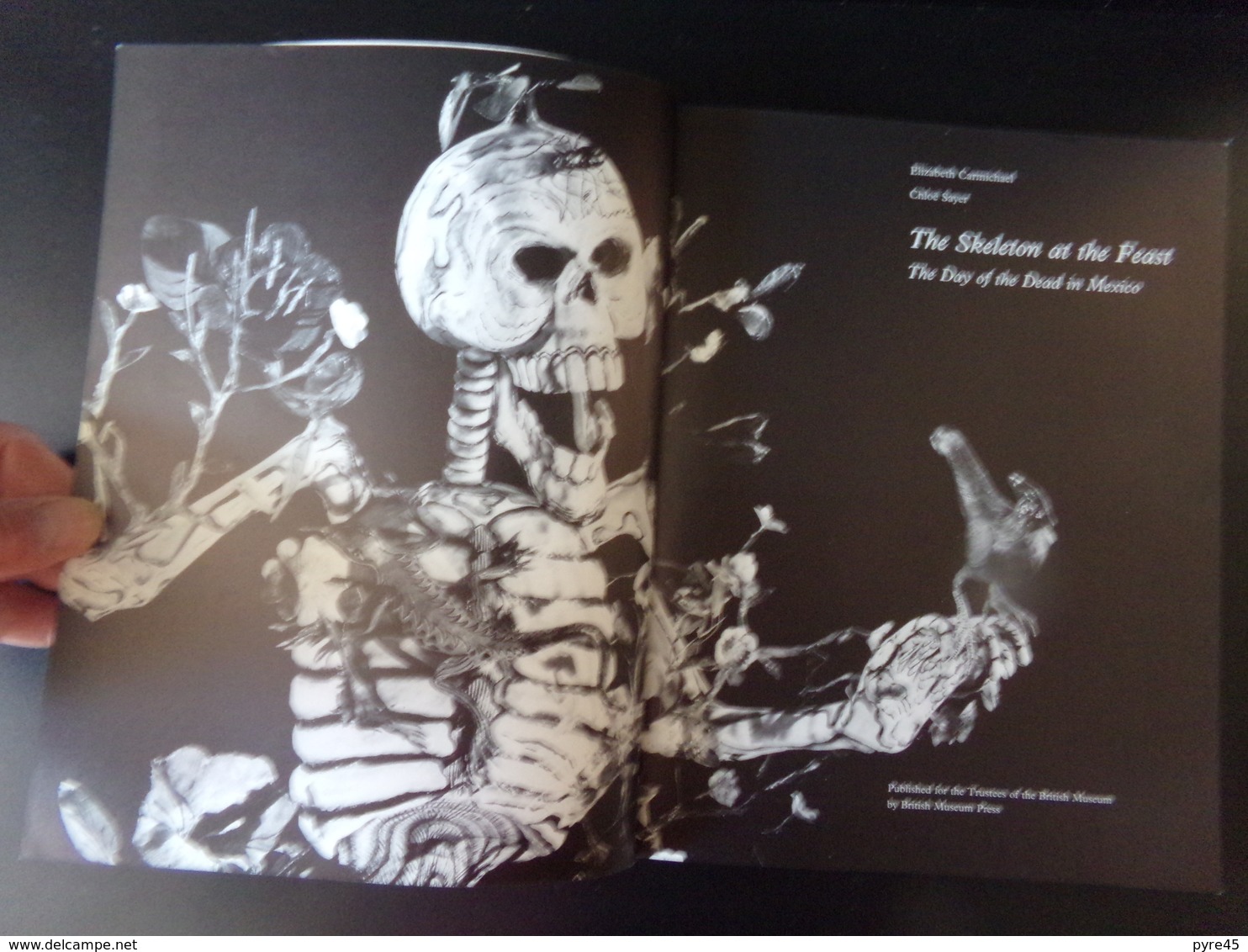 The Skeleton At The Feast , The Day Of The Dead In Mexico, E Carmichael, 1991, 160 Pages - America Del Sud