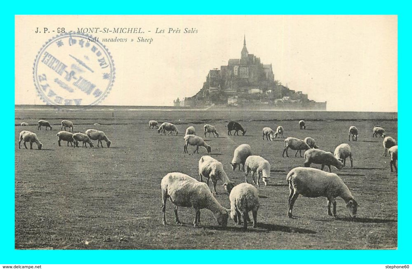 A703 / 391 50 - LE MONT SAINT MICHEL Les Prés Salés ( Mouton ) - Le Mont Saint Michel