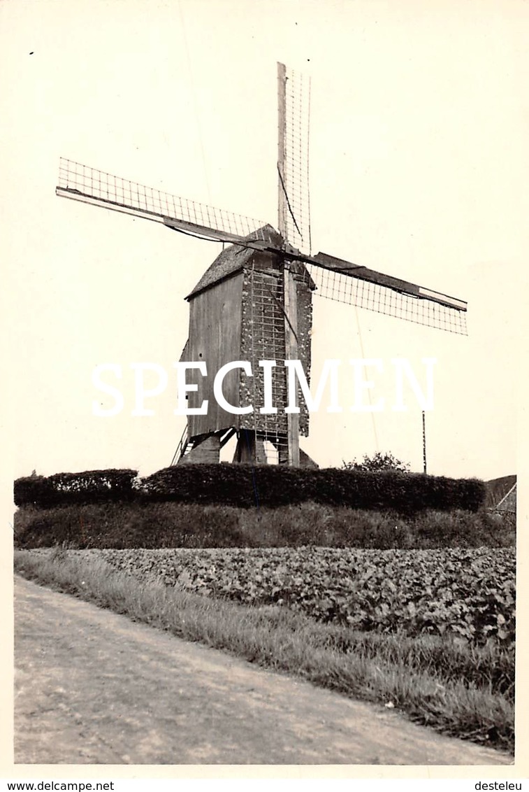 Foto Molen - Meulebeke - 8 X 12 Cm - Meulebeke