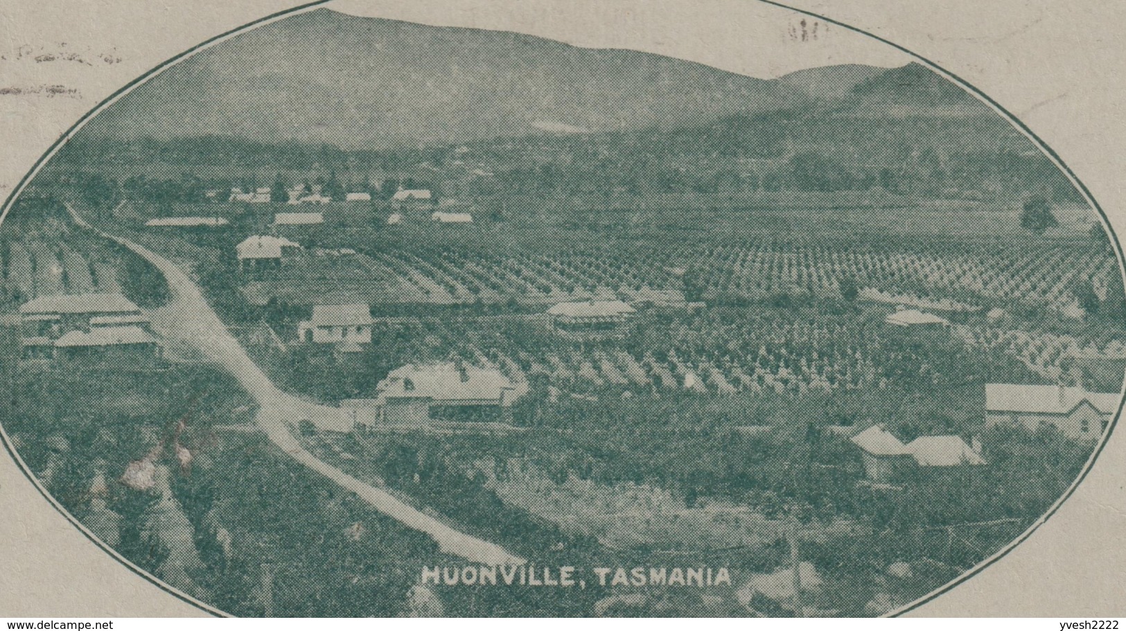 Australie 1914. Carte-lettre Illustrée. Huonville, Patelin De Tasmanie. Cerisiers Et Pommiers, Montagnes - Arbres