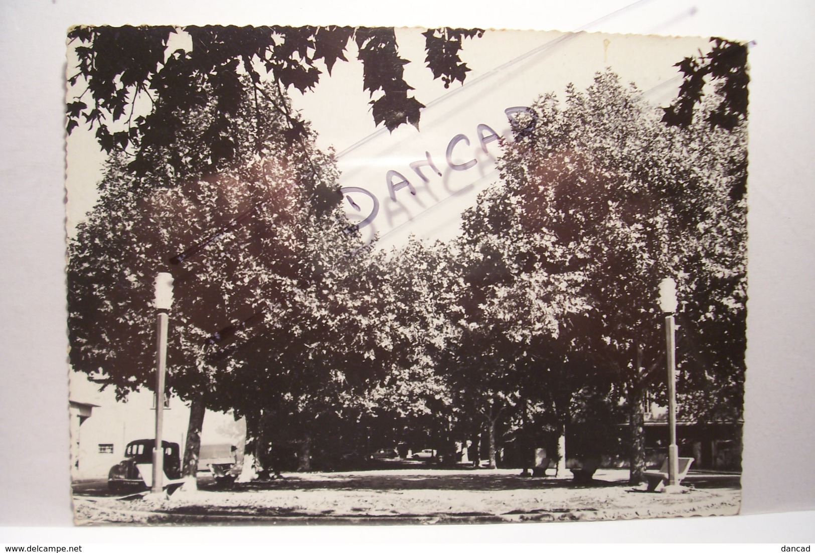 SAINT-ZACHARIE   - La Place De La Poste    - ( Pas De Reflet Sur L'original - Pas D'inscription ) - - Saint-Zacharie