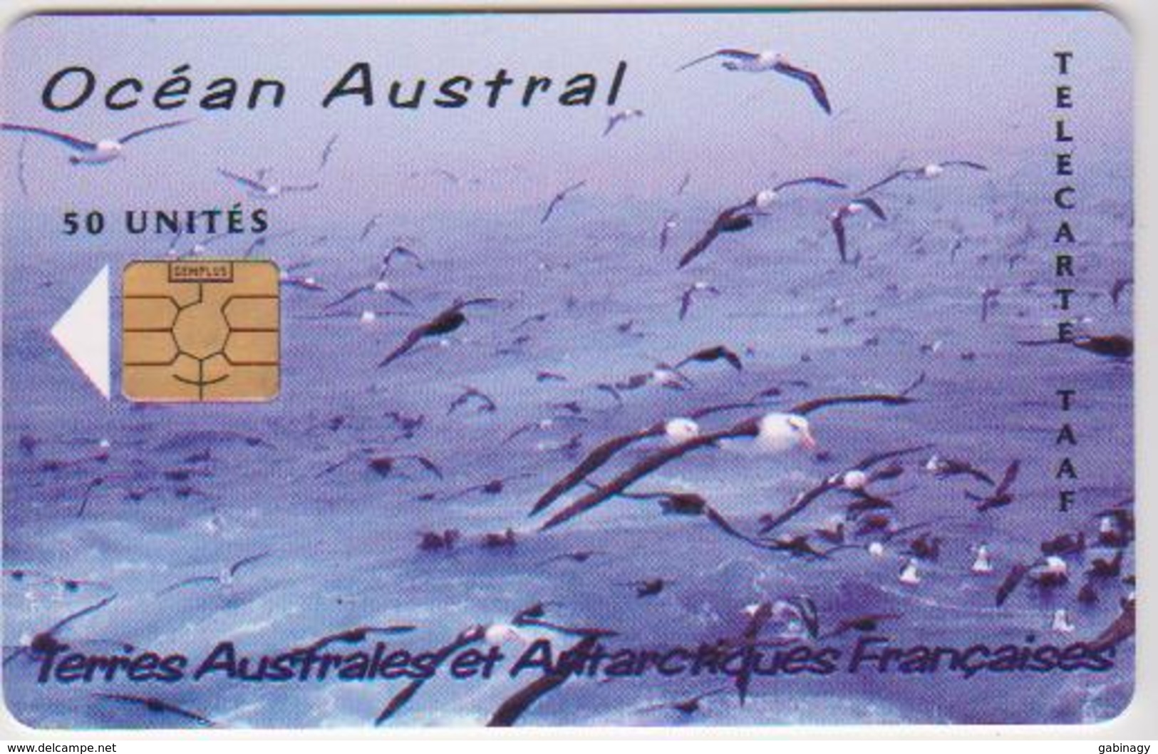 #13 - TAAF-01 - OCÉAN AUSTRAL - BIRDS - 3.000EX. - TAAF - French Southern And Antarctic Lands