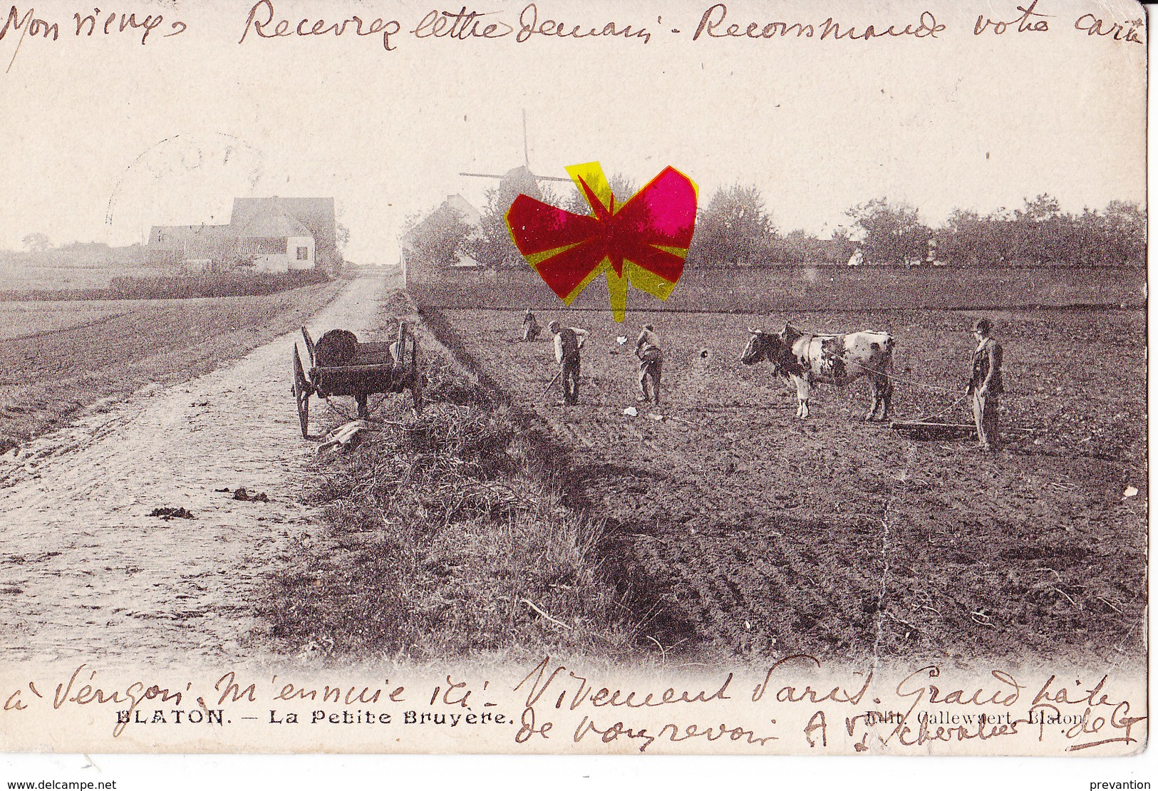 BLATON - La Petite Bruyère - Carte Animée Avec Les Fermiers Cultivant Leur Champ, Moulin à Vent Et Circulé En 1907 - Bernissart