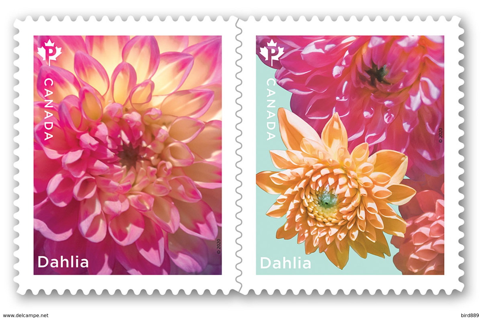 2020 Canada Flower Dahlia P Rate Pair From Booklet MNH - Timbres Seuls