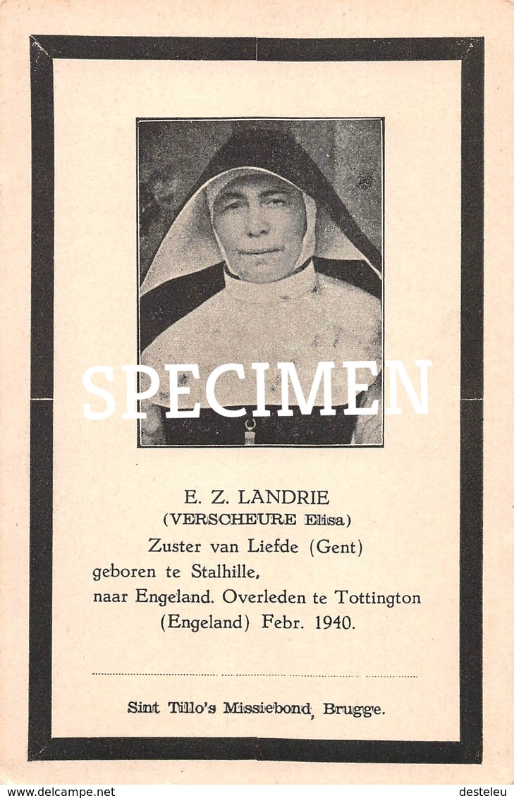E.Z. Landrie - Verscheure Elisa - Stalhille - Jabbeke