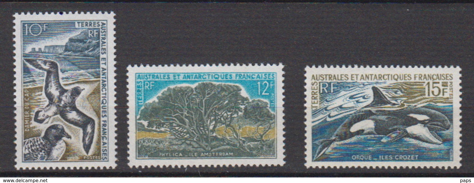 1969/1970.TAAF -N°28/30** FAUNE ET FLORE - Unused Stamps