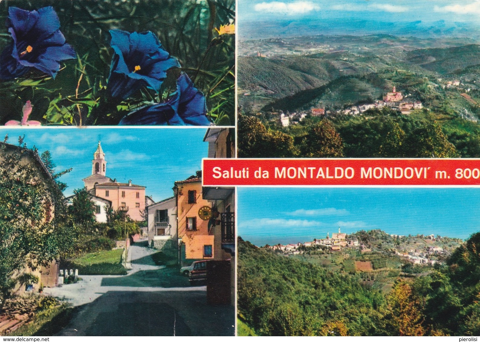 (B597) - MONTALDO MONDOVI' (Cuneo) - Multivedute - Biella