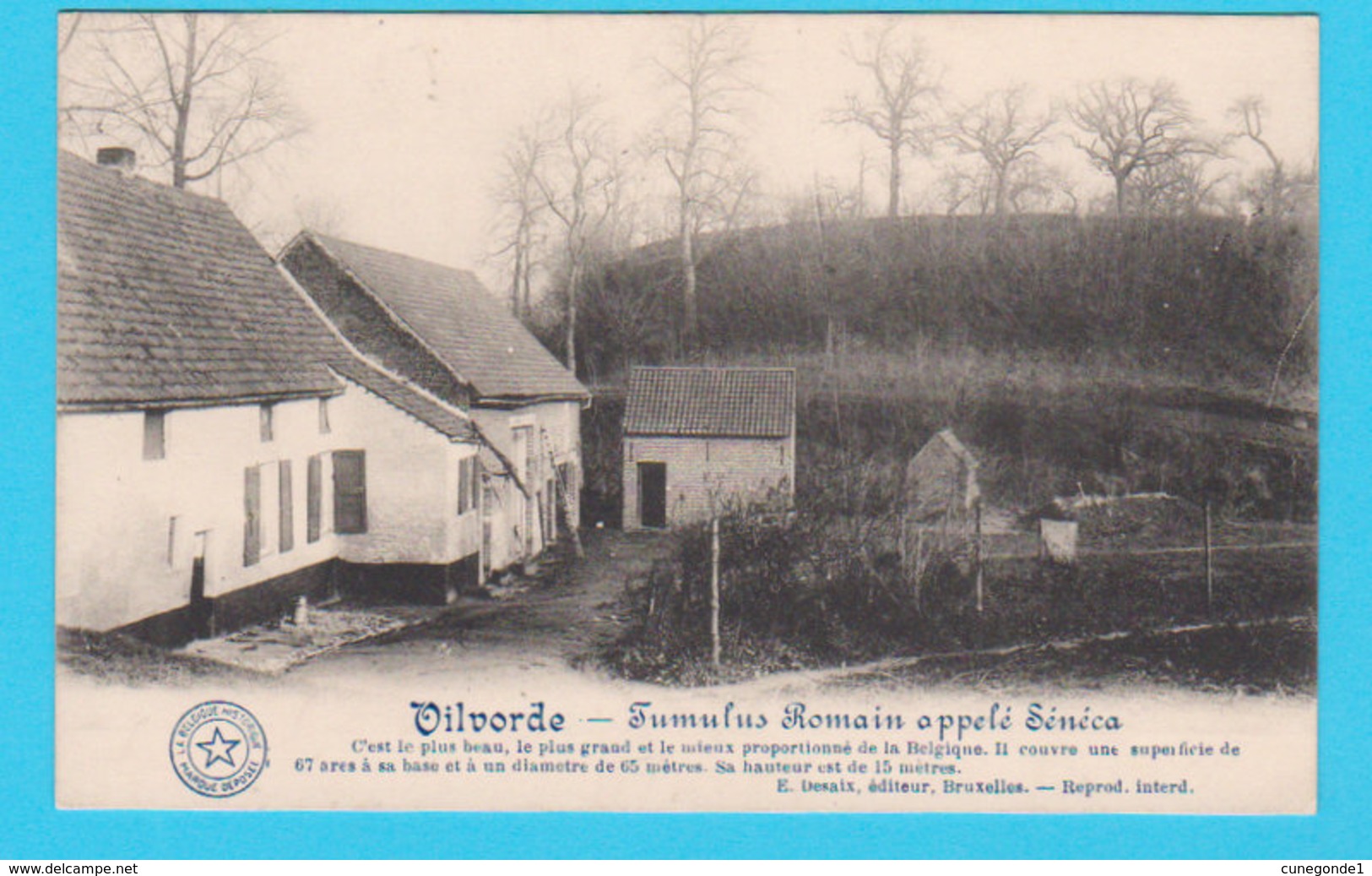 CPA VILVOORDE / VILVORDE : Tumulus Romain Sénéca - Ed. Desaix, Brux. (non Circulée) - Vilvoorde