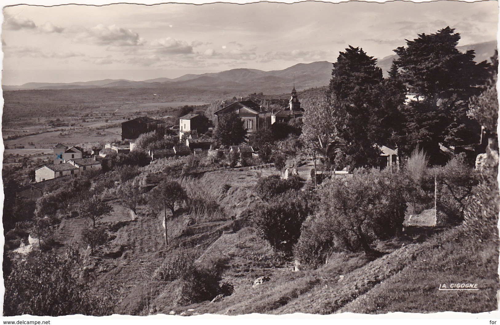 83 : MONTAUROUX : - Vue Panoramique  - ( C.p.s.m. - Photo. Véritable  ) - Montauroux