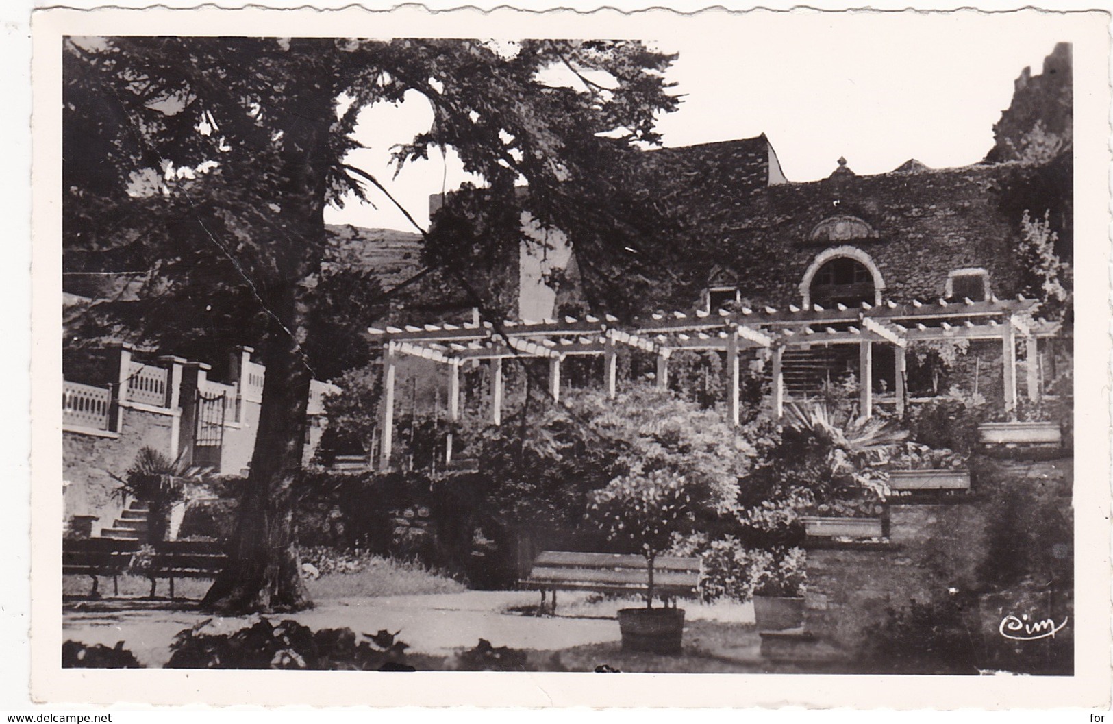 34 : SAINT-PONS : Jardin Public - La Pergola - ( C.p.s.m. - Photo. Véritable  ) - Saint-Pons-de-Thomières