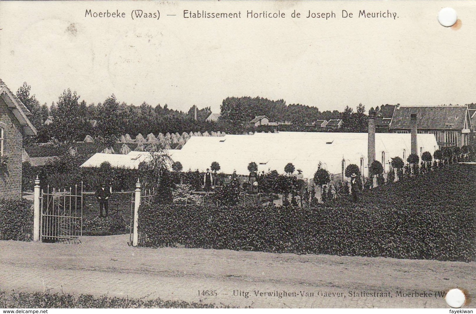 Moerbeke ( Waes )- Etablissement Horticole De Joseph De Meurichy - Moerbeke-Waas