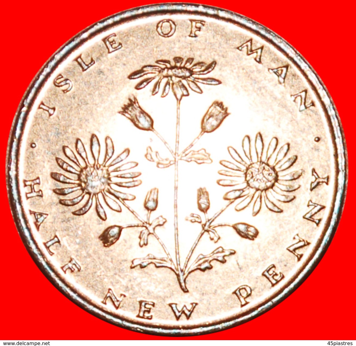 · FLOWER: ISLE OF MAN ★ 1/2 NEW PENNY 1971 MINT LUSTER! LOW START ★ NO RESERVE! - Eiland Man