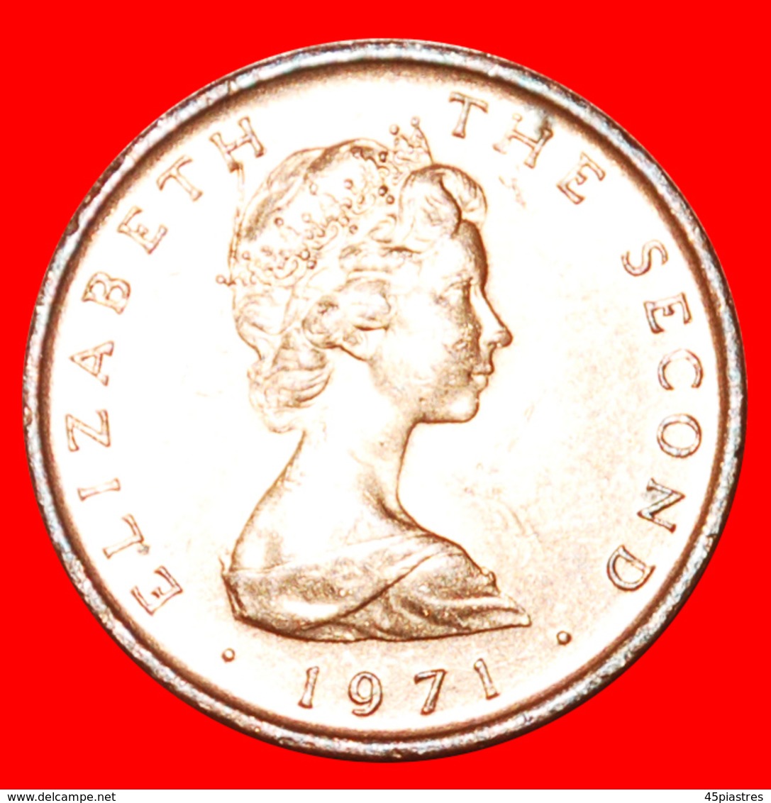 · FLOWER: ISLE OF MAN ★ 1/2 NEW PENNY 1971 MINT LUSTER! LOW START ★ NO RESERVE! - Eiland Man