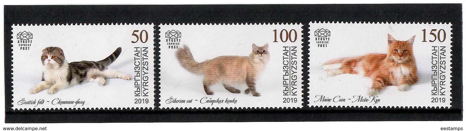 Kyrgyzstan.2019 Domestic Cats.3v:50,100,150 - Kirghizistan