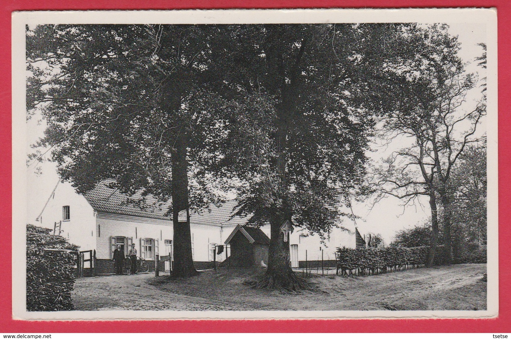 Mont-de-L'Enclus - La Ferme De Jésus / Kluisberg - Kristus Hoeve ( Voir Verso ) - Mont-de-l'Enclus