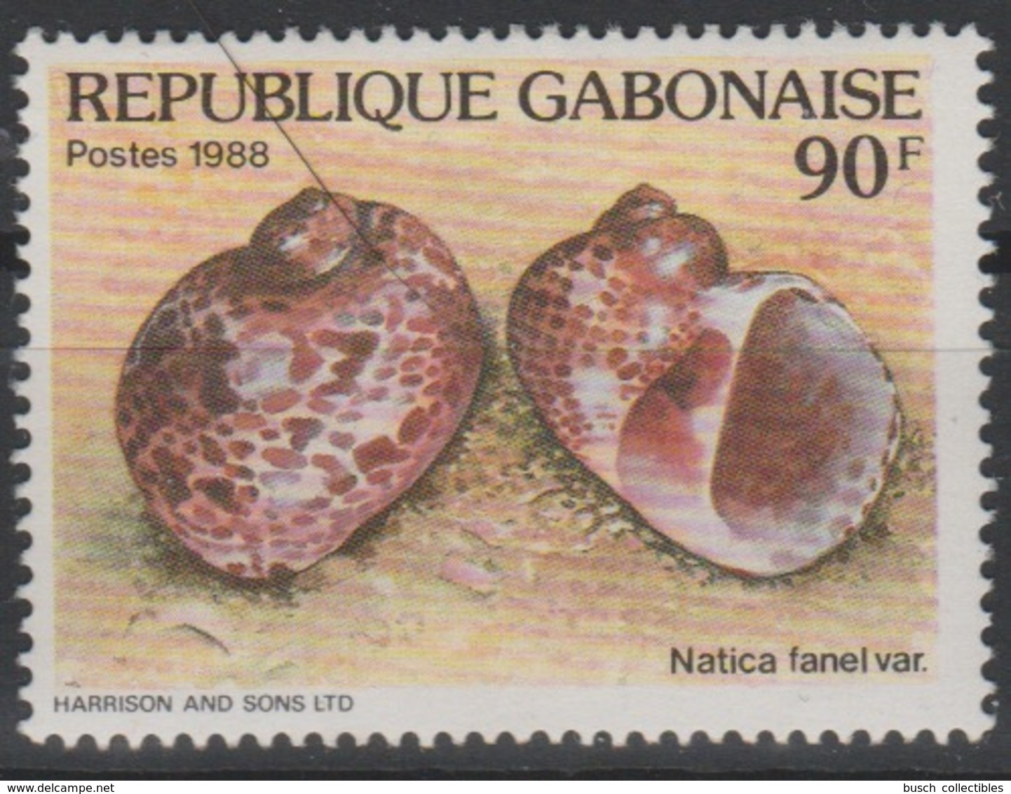 Gabon Gabun 1988 Mi. A1026 Coquillages Shells Crustacés Crustaceans Natica Fanel Var. RARE ! - Conchiglie