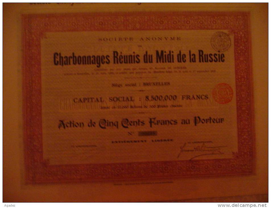 Action Charbonnages Réunis Du Midi De La Russie 1899 Russia. - Miniere