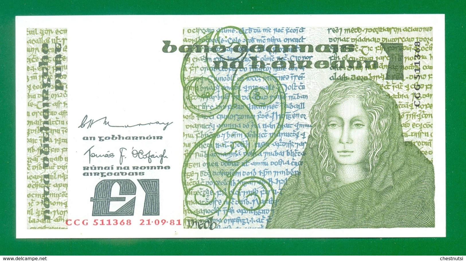 Ireland Republic 1 Pound 1981 P70b Unc - Irlanda