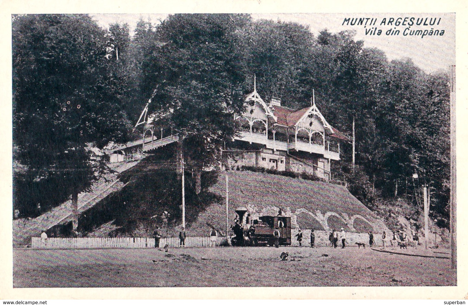 TRANSPORT DU BOIS Avec TRAIN FORESTIER / TIMBER TRANSPORT On RAILWAY - LOCOMOTIVE At CUMPANA / ARGES ~ 1925 (ad996) - Romania