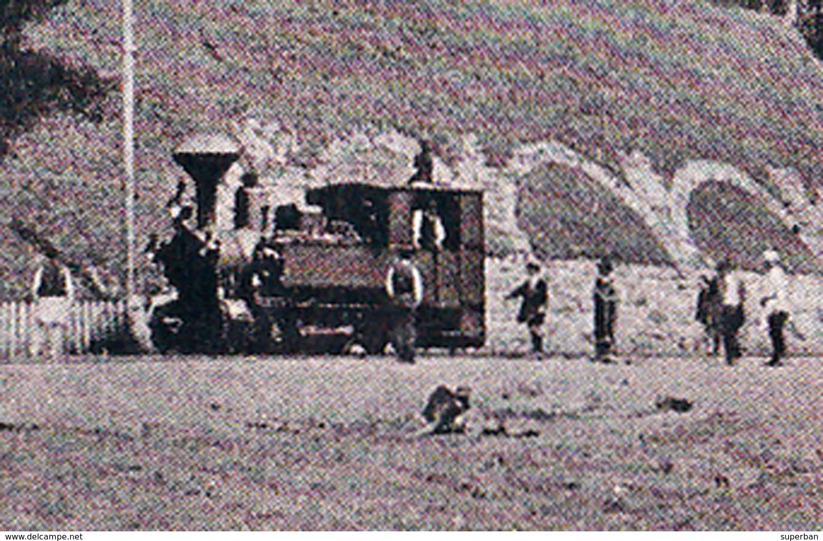 TRANSPORT DU BOIS Avec TRAIN FORESTIER / TIMBER TRANSPORT On RAILWAY - LOCOMOTIVE At CUMPANA / ARGES ~ 1925 (ad996) - Roumanie