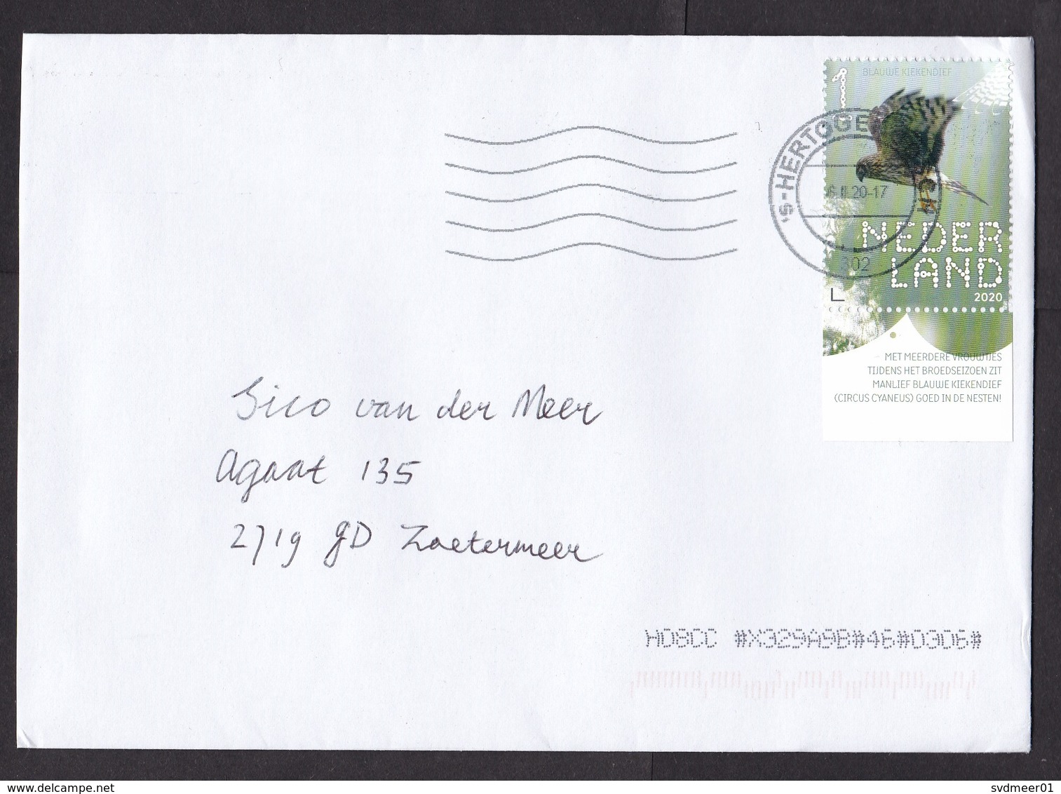 Netherlands: Cover, 2020, 1 Stamp + Tab, Hen Harrier Prey Bird (traces Of Use) - Storia Postale