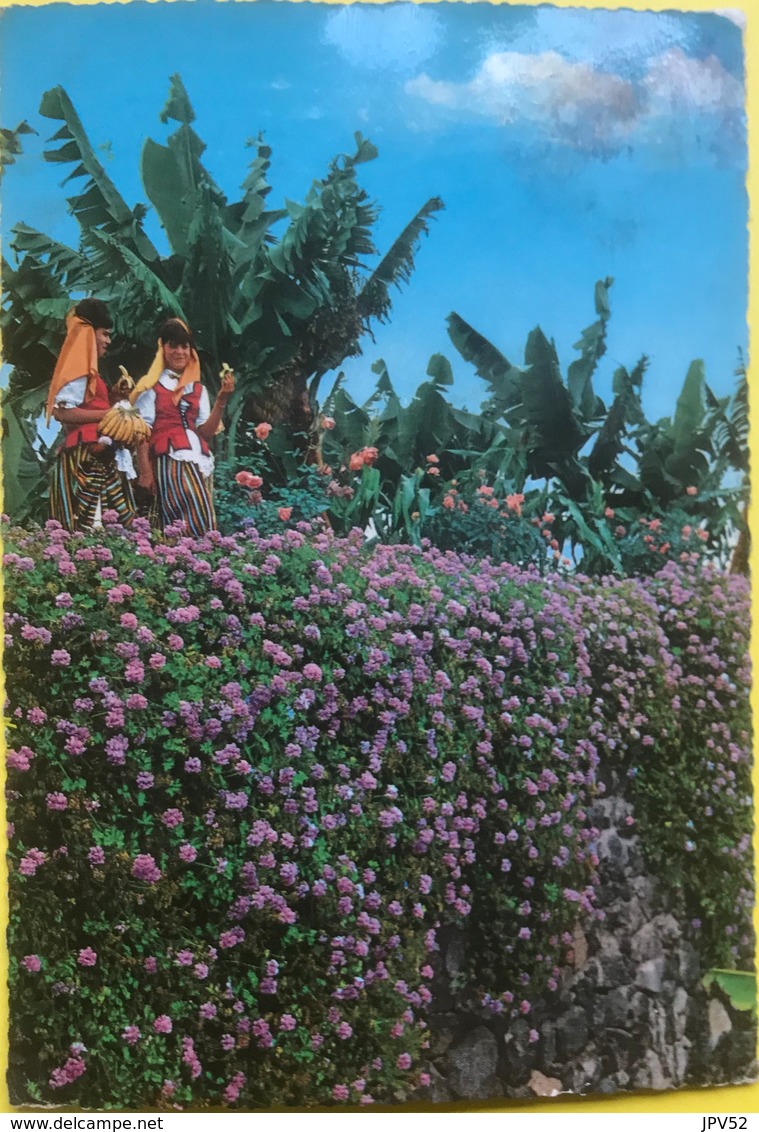 (3229) Tenerife - Flowers And Typical Costumes - Tenerife