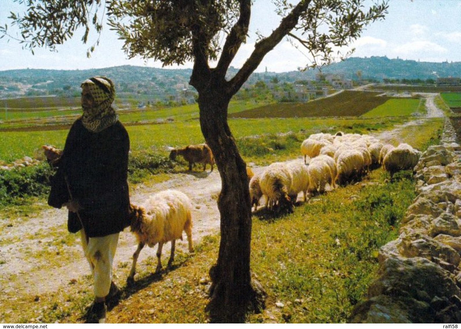 2 AK Palästina * Bethlehem Das Feld Der Hirten - Shepherd's Field * - Palästina