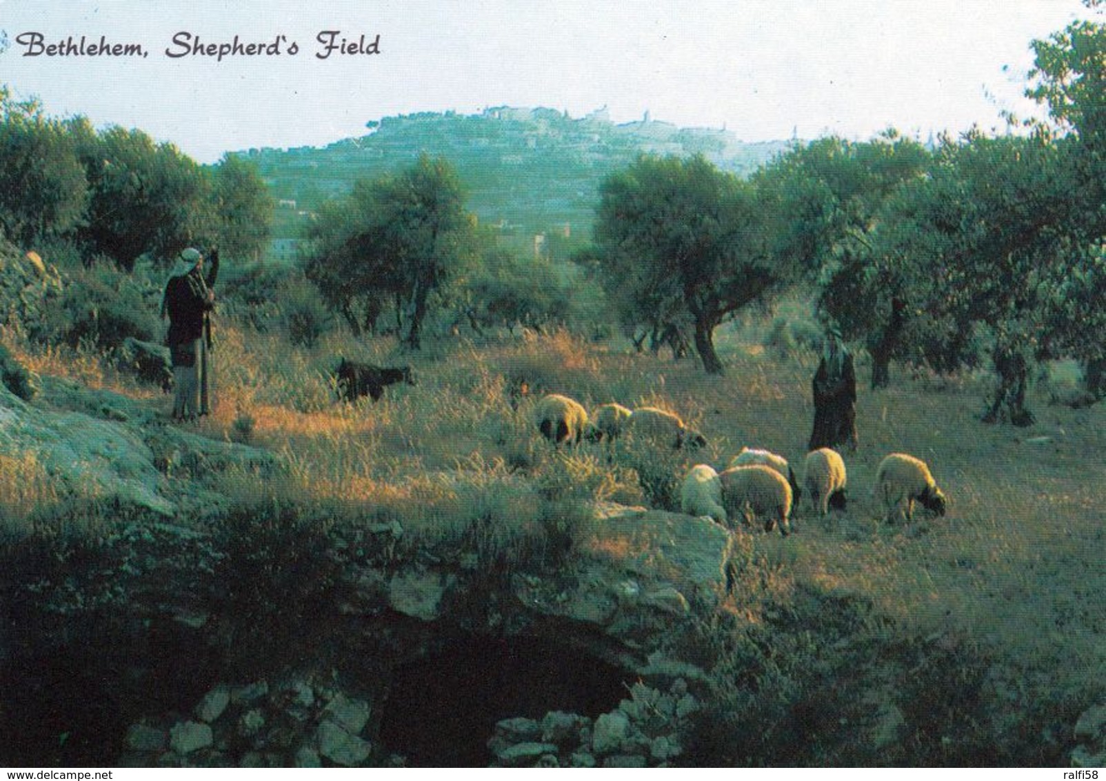 2 AK Palästina * Bethlehem Das Feld Der Hirten - Shepherd's Field * - Palästina