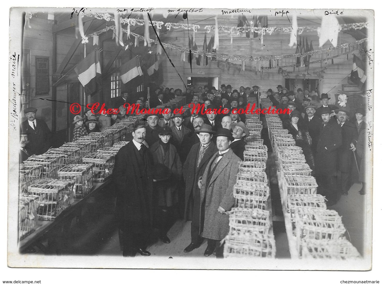 PERONNE DOCTEUR BOULANGER MAIRE - EXPOSITION PIGEONS VOYAGEURS - PHOTO 18*13 SOMME - Métiers