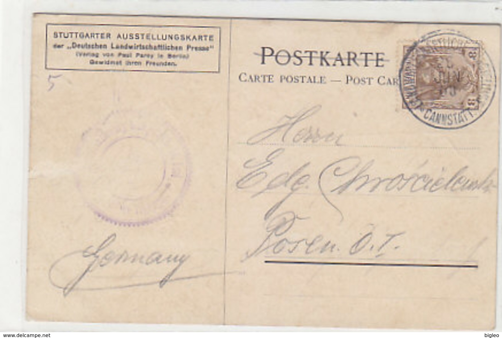 Grüsse Von Der Ausst.der Deutschen Landwirtschasfts-Ges. Stuttgart - Ausst.Stempel 1908 - Signiert        (A-186-191015) - Exhibitions