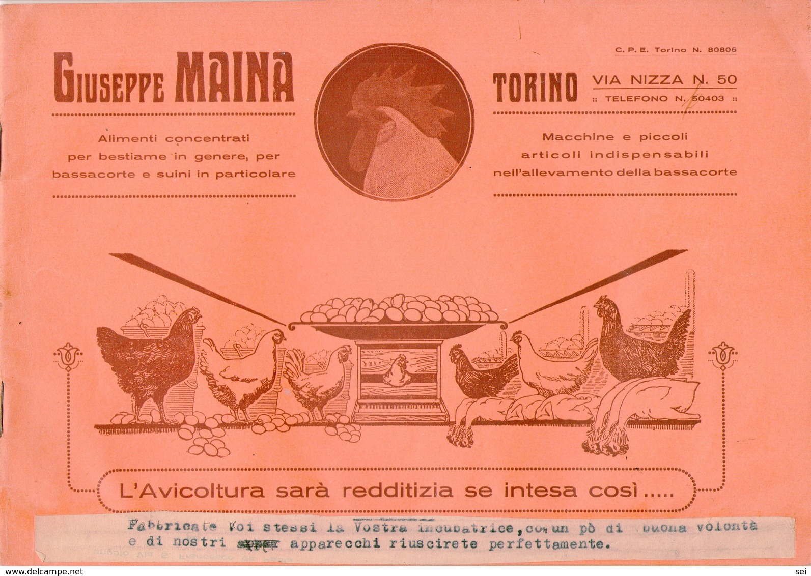 B 3089 - Avicoltura, Torino - Altri & Non Classificati