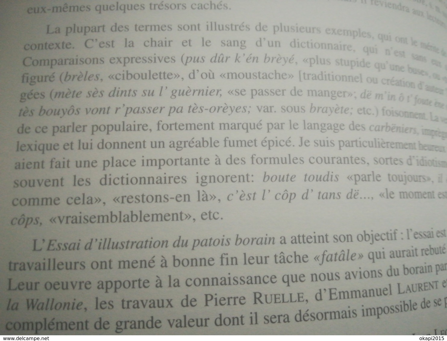 ESSAI D ILLUSTRATION DU PARLER BORAIN LIVRE HISTOIRE RÉGIONALISME BELGIQUE HAINAUT DICTIONNAIRE DIALECTE BORINAGE MONS