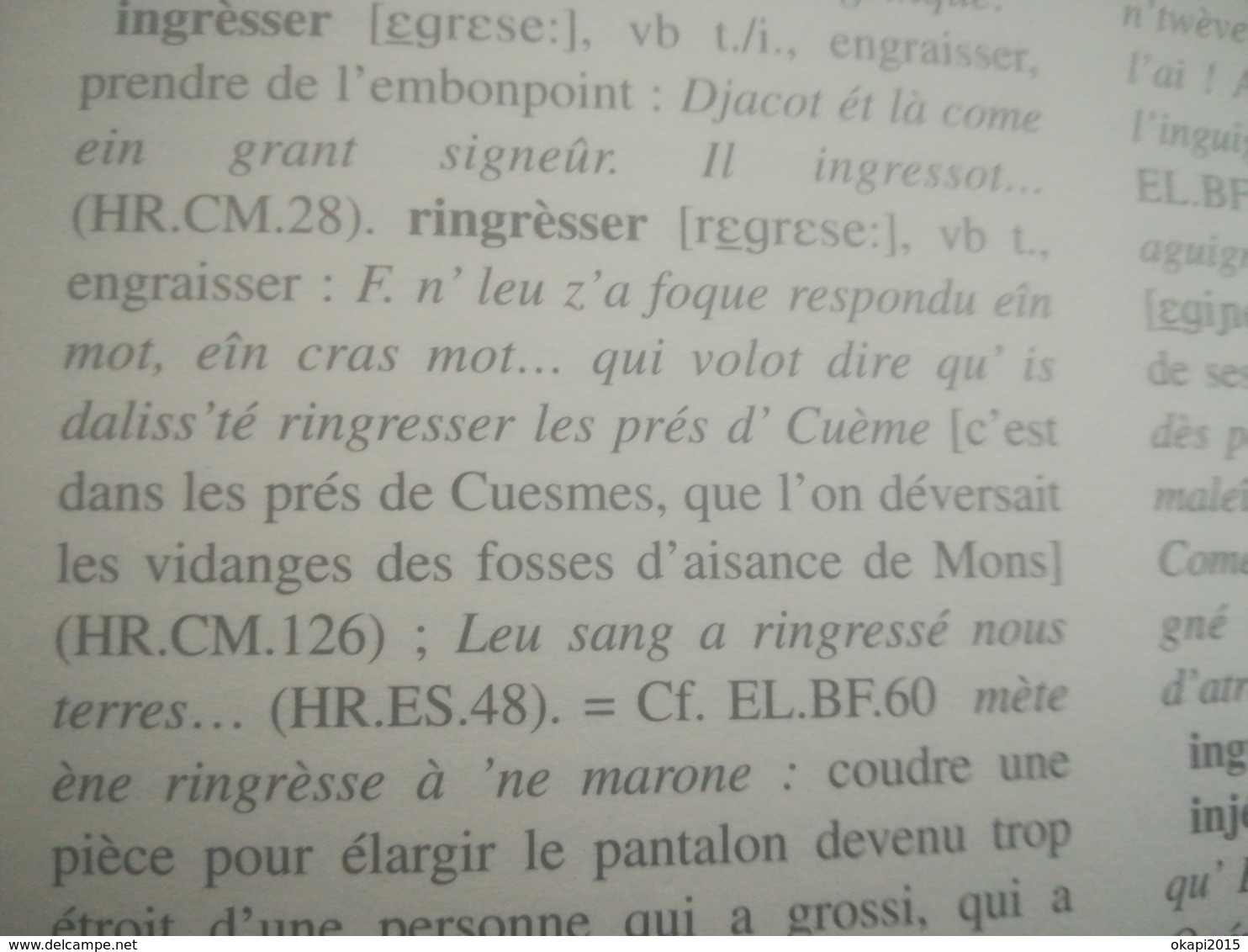 ESSAI D ILLUSTRATION DU PARLER BORAIN LIVRE HISTOIRE RÉGIONALISME BELGIQUE HAINAUT DICTIONNAIRE DIALECTE BORINAGE MONS