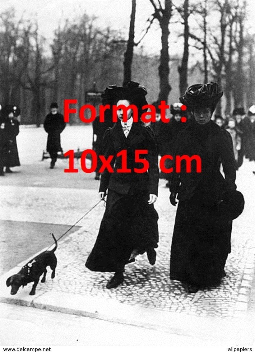 Reproduction D'une Photographie Ancienne De Deux Dames Vêtues De Noir Promenant Leur Chien Teckel En 1908 - Autres & Non Classés