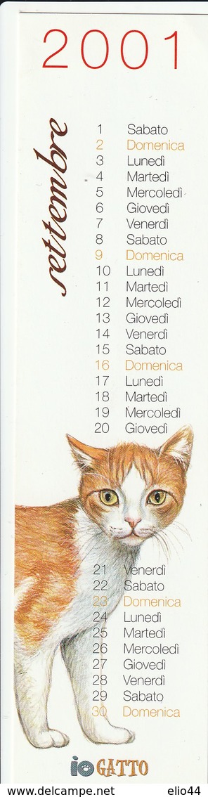 Vecchi Documenti - Segnalibri - La Libreria Demetra " Io Gatto " - - Segnalibri