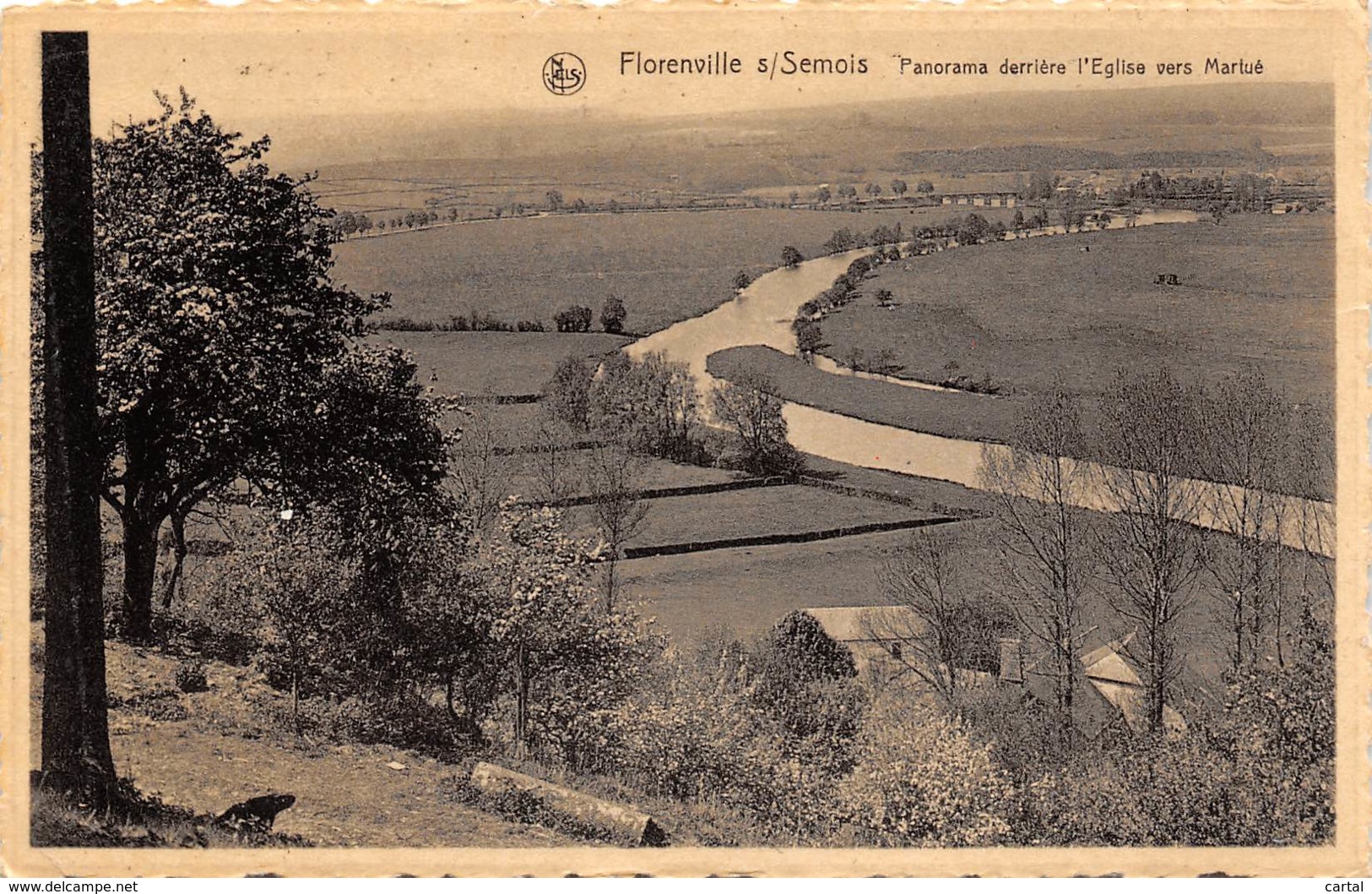 FLORENVILLE S/Semois - Panorama Derrière L'Eglise Vers Marlué - Florenville