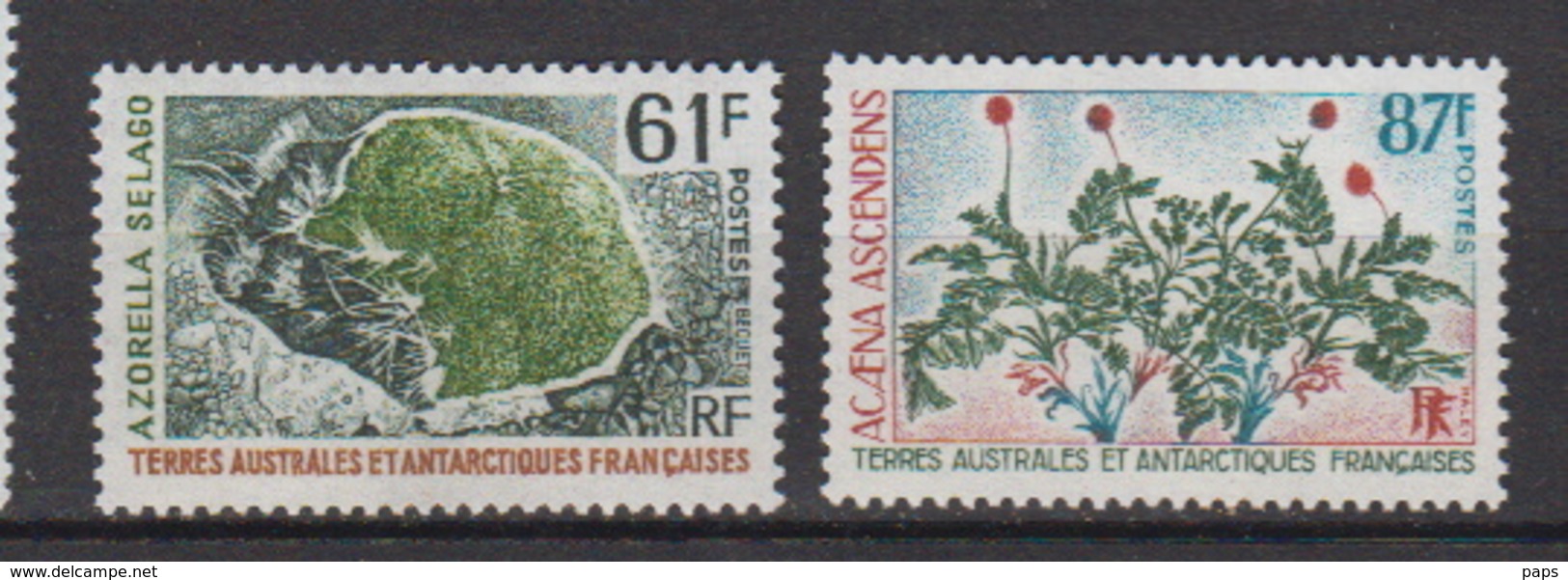 1974-TAAF-N°52/53** FLORE - Unused Stamps
