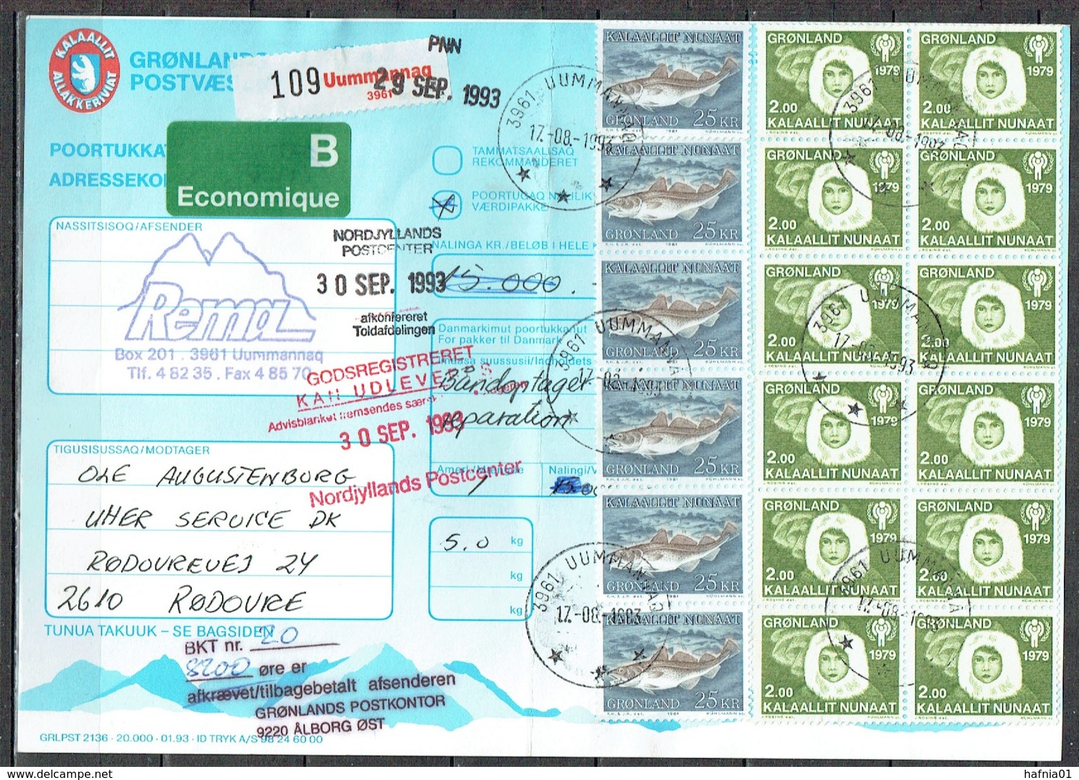 Greenland 1993. Parcel Card. Economy Parcel Sent From  Ummannaq  To Denmark. - Pacchi Postali