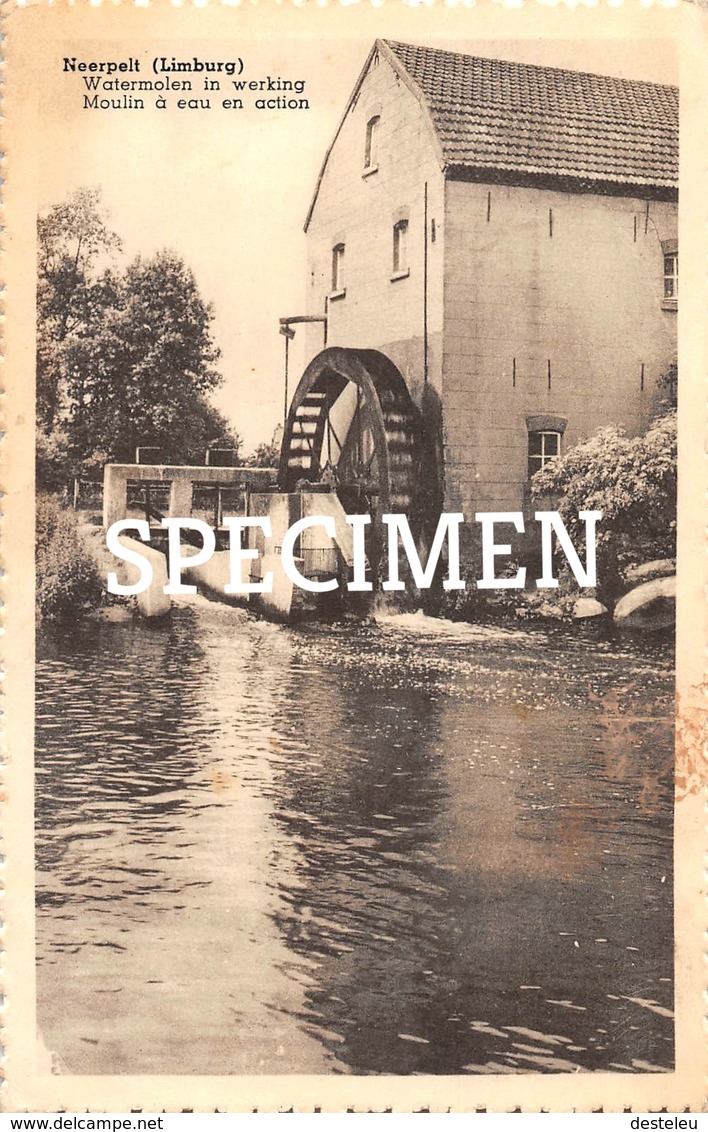 Watermolen In Werking - Neerpelt - Neerpelt