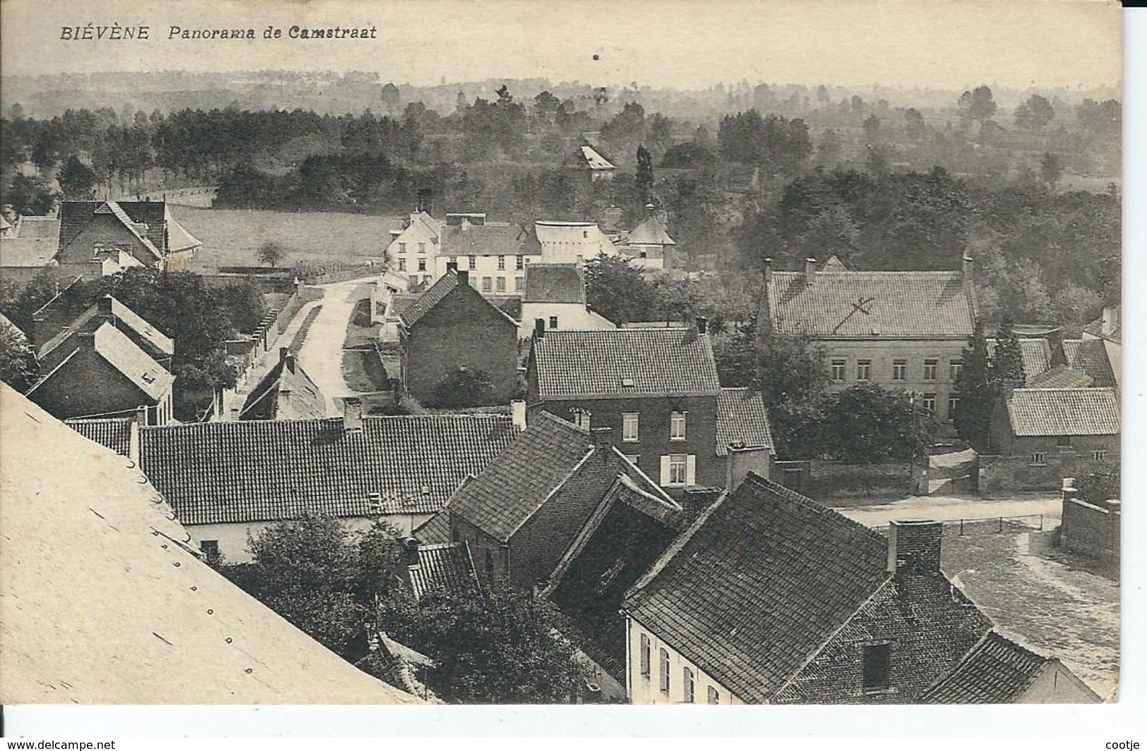 Biévène Panorama  De  Camstraat - Biévène - Bever