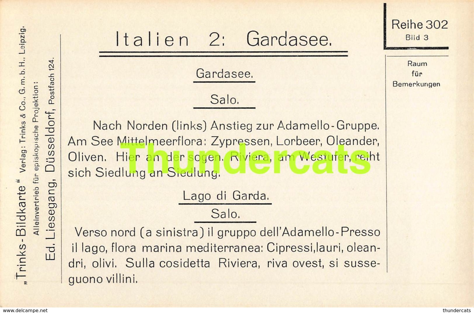 CPA CARTE DE PHOTO ITALY ITALIA GARDASEE LAGO DI GARDA SALO - Autres & Non Classés