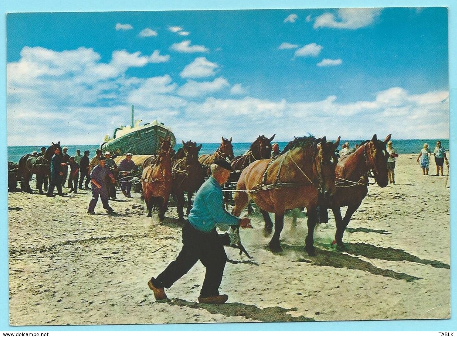 0750 - NEDERLAND - HOLLAND -  AMELAND - HOLLUM - REDDINGSBOOT WORDT UIT ZEE GETROKKEN - DRAFT HORSES - Ameland