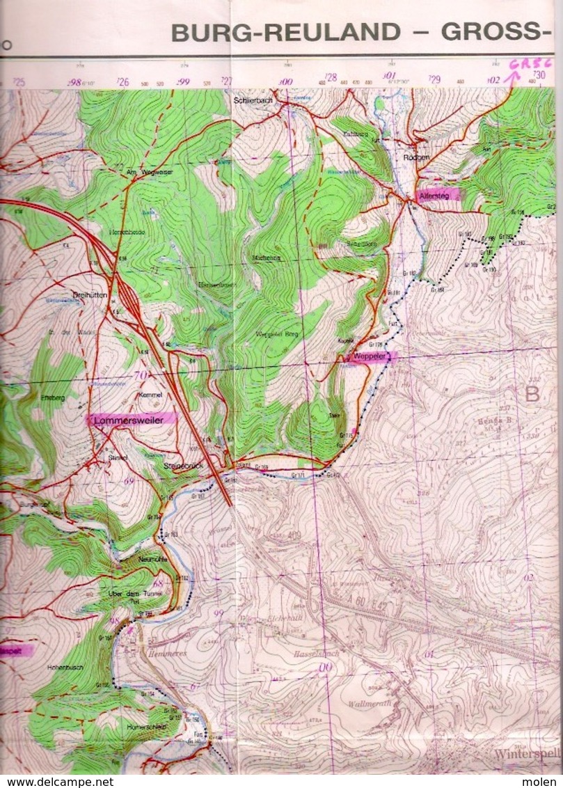 ©1989 BURG-REULAND CARTE D ETAT MAJOR LOMMERSWEILER LASCHEID WEWELER BRACHT RODGEN ALFERSTEG WIESENBACH NEIDINGEN S901 - Burg-Reuland