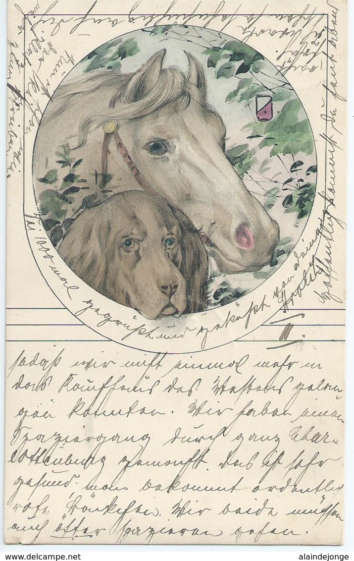 Cheval - Horse - Paard - Pferd - & Chien - Dog - Hond - Hund - 1908 - Chevaux