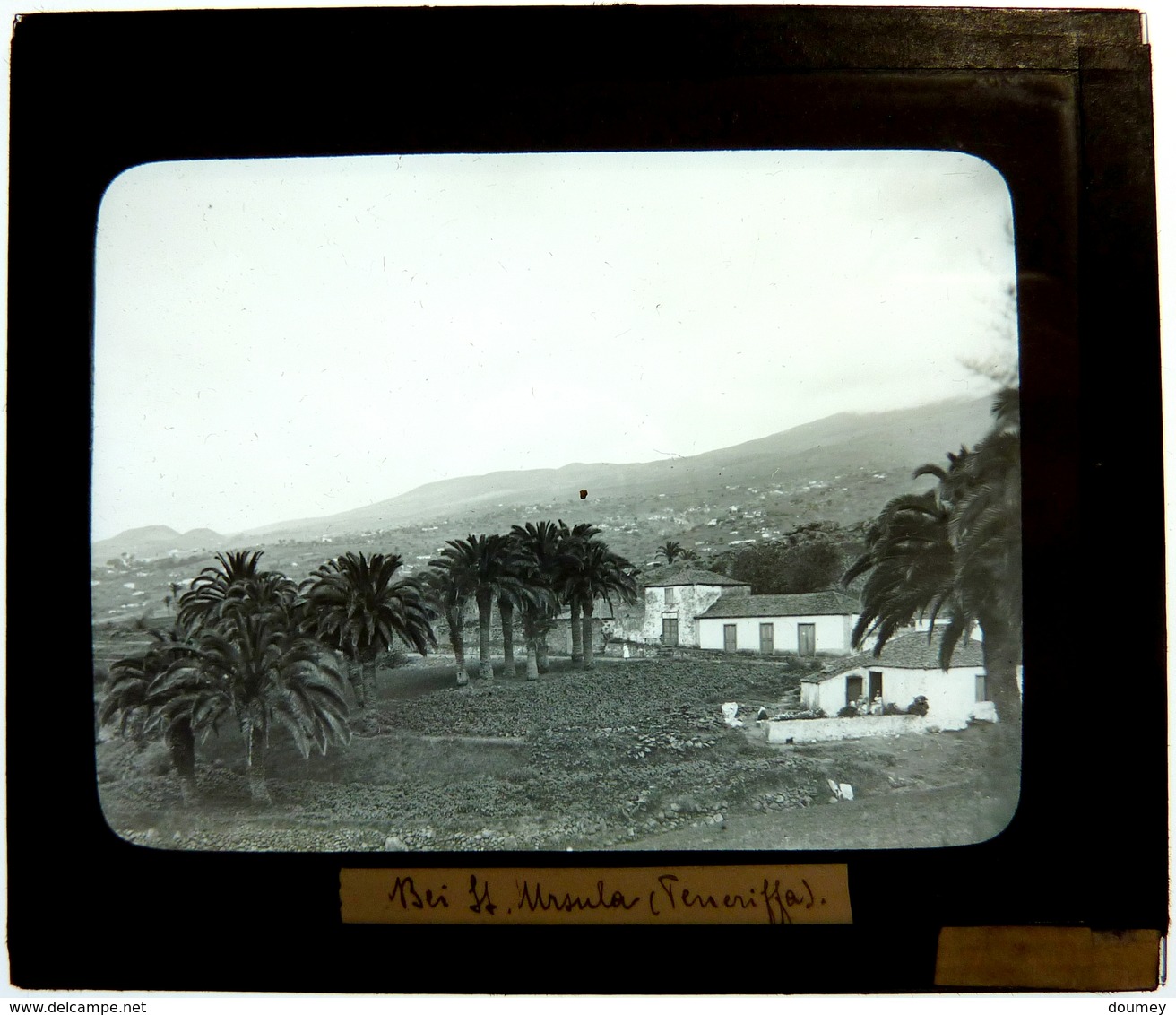 PHOTO D'UN ENSEMBLE SUR TENERIFE - Plaques De Verre