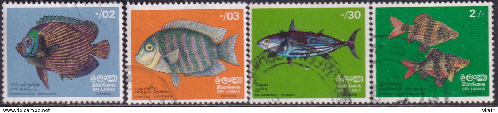 SRI LANKA 1972 SG #594-97 Compl.set Used Fish - Sri Lanka (Ceylon) (1948-...)