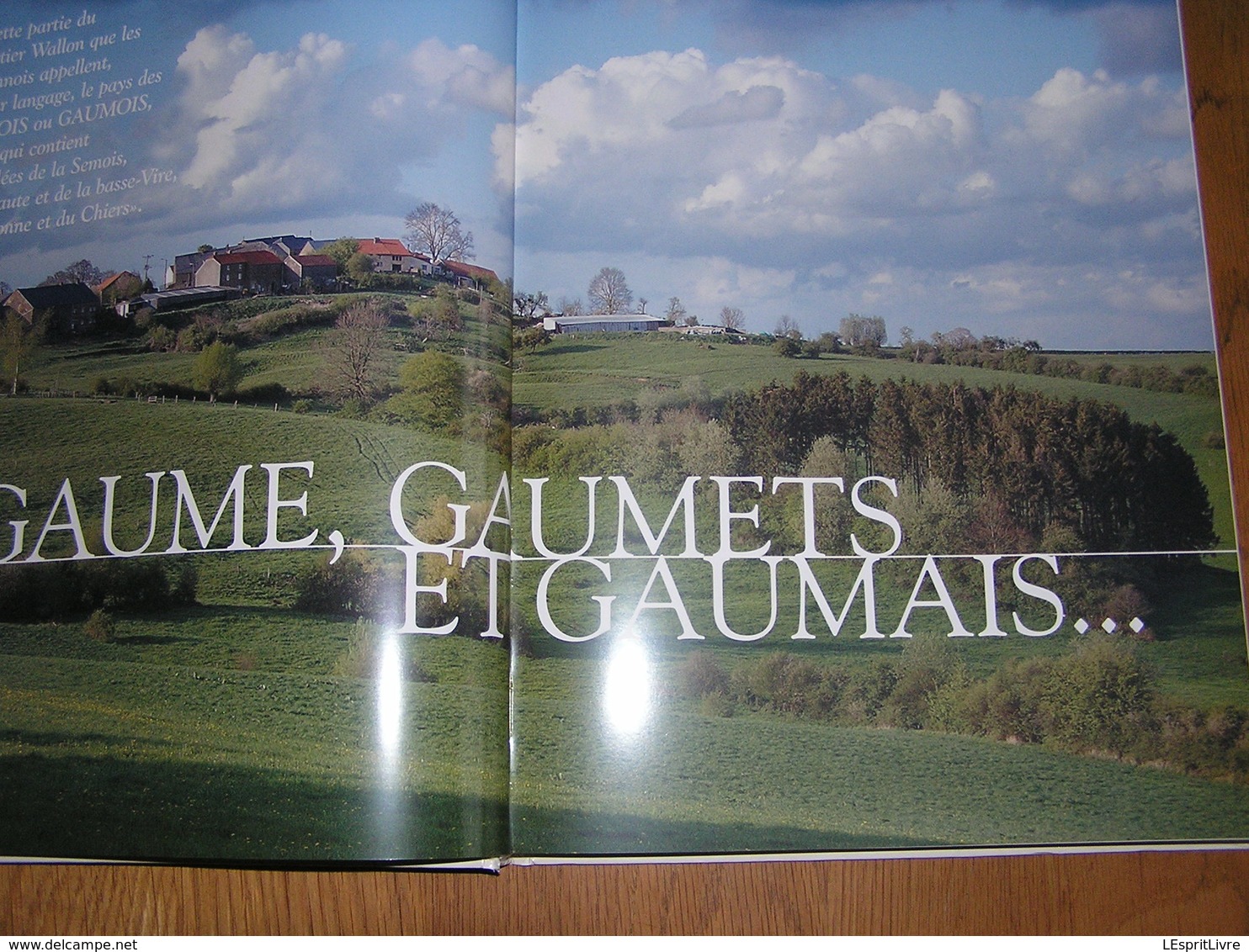 CHEMINS DE GAUME Régionalisme WaVirton Abbaye Orval Servais Légende 4 Fils Aymon Etalle Mautauban Avioth Tintigny Torgny - België